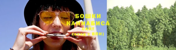 дживик Белокуриха