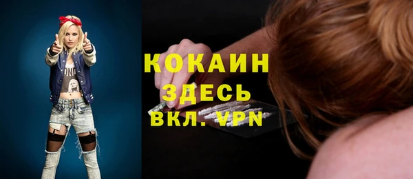 дживик Белокуриха