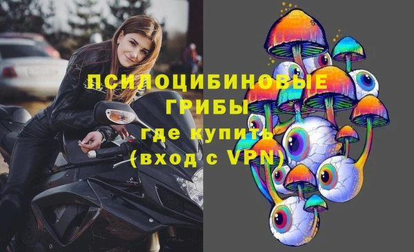 дживик Белокуриха