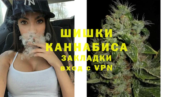 дживик Белокуриха