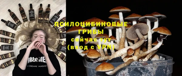 дживик Белокуриха