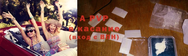 дживик Белокуриха