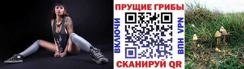 Псилоцибиновые грибы прущие грибы  купить   Ворсма 